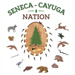 Logo Tribe seneca cayuga 500x500