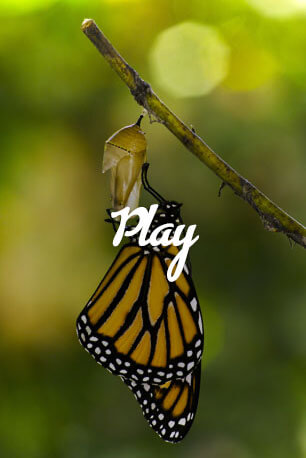 Play graphic