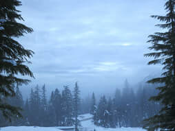 263454256 Snow