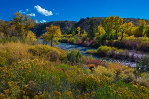East River near Taylor HWY 135 Colorado Fall Landscape East river in autumn Colorado
