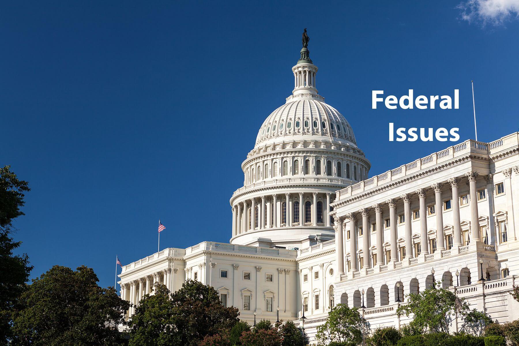 Federal issues