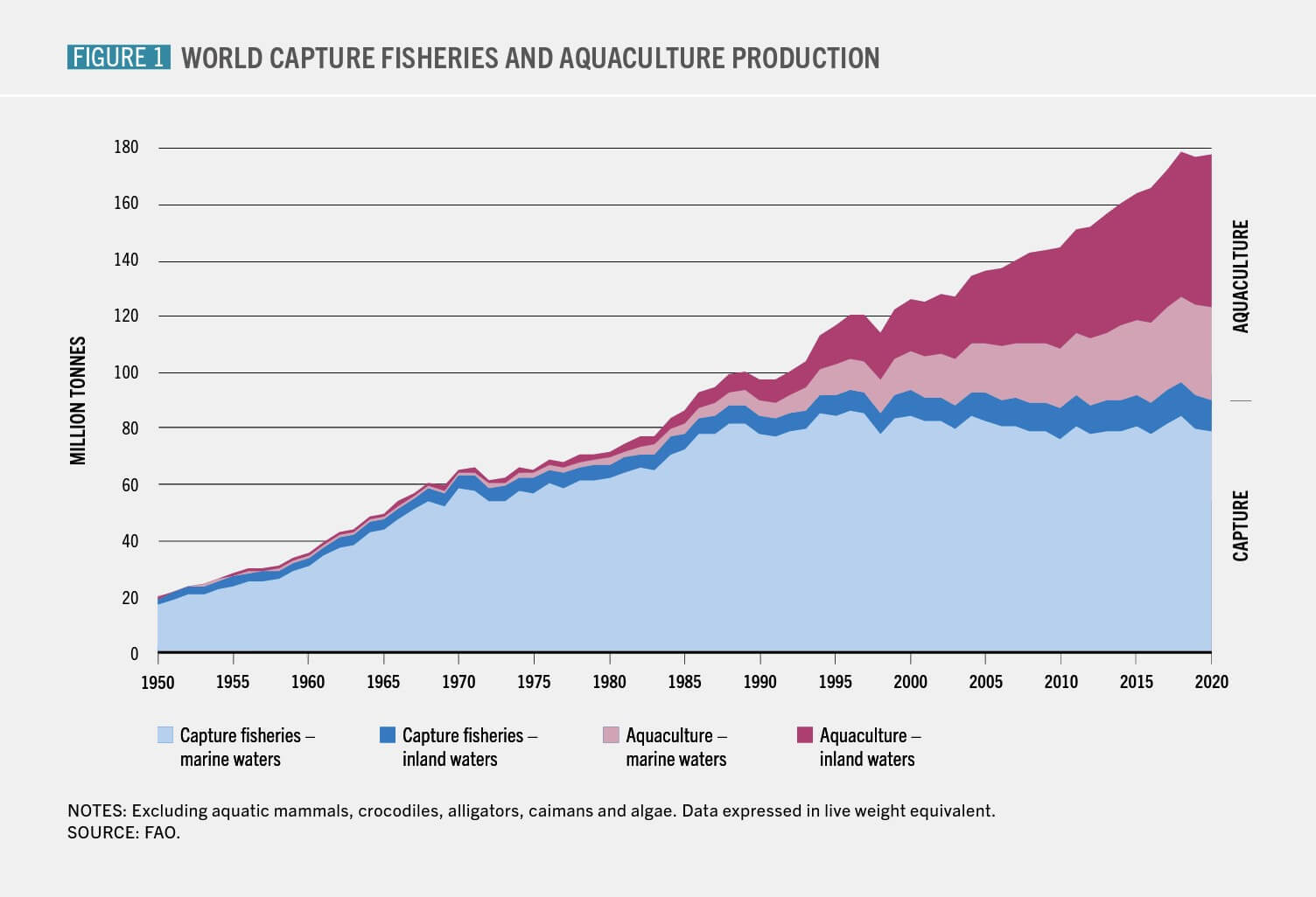 world capture fisheries and aquaculture production
