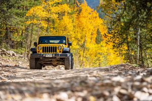 yellow jeep on trail