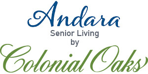 MS ANDARA