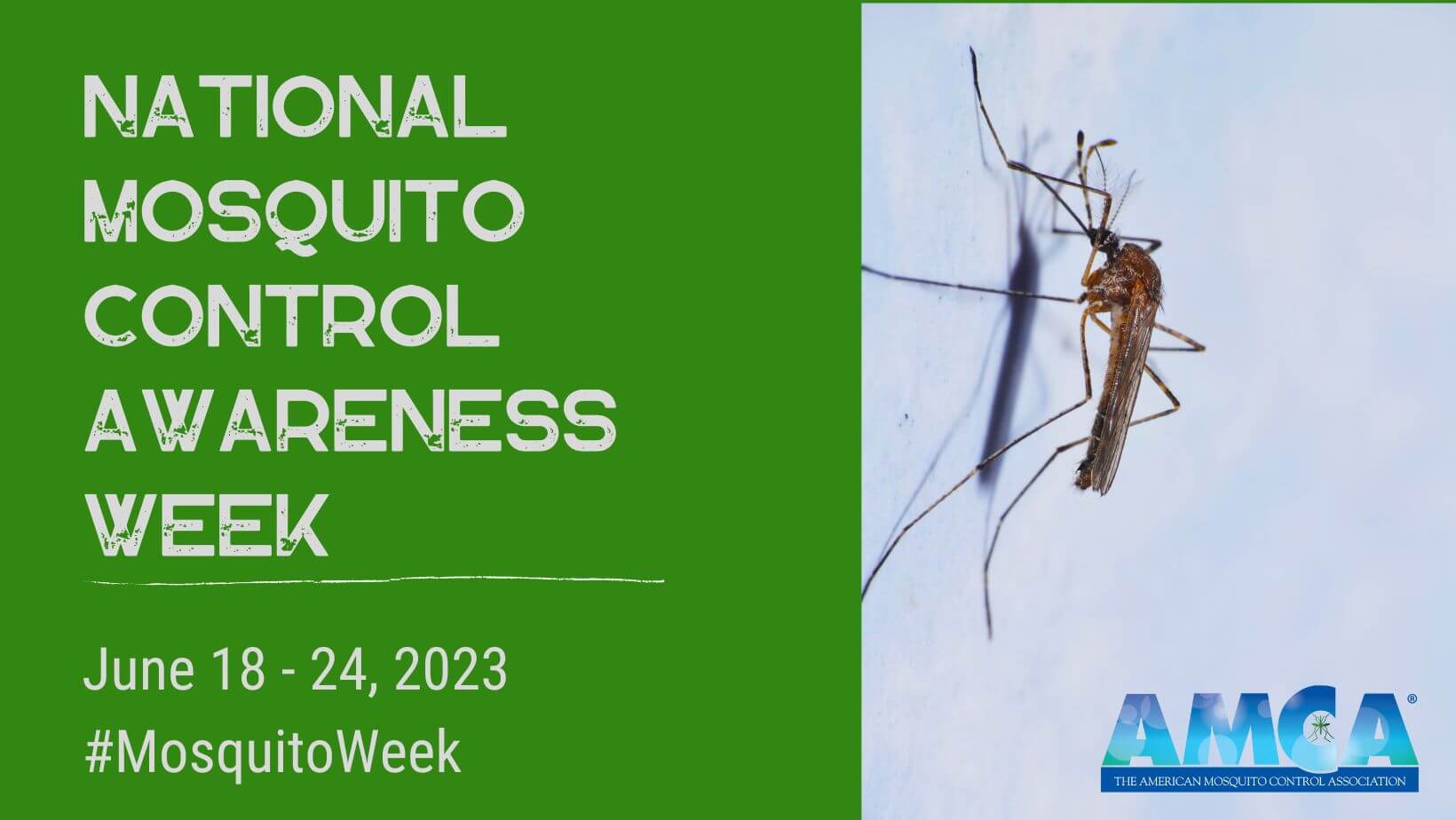 Mosquito Awareness Week American Mosquito Control Association