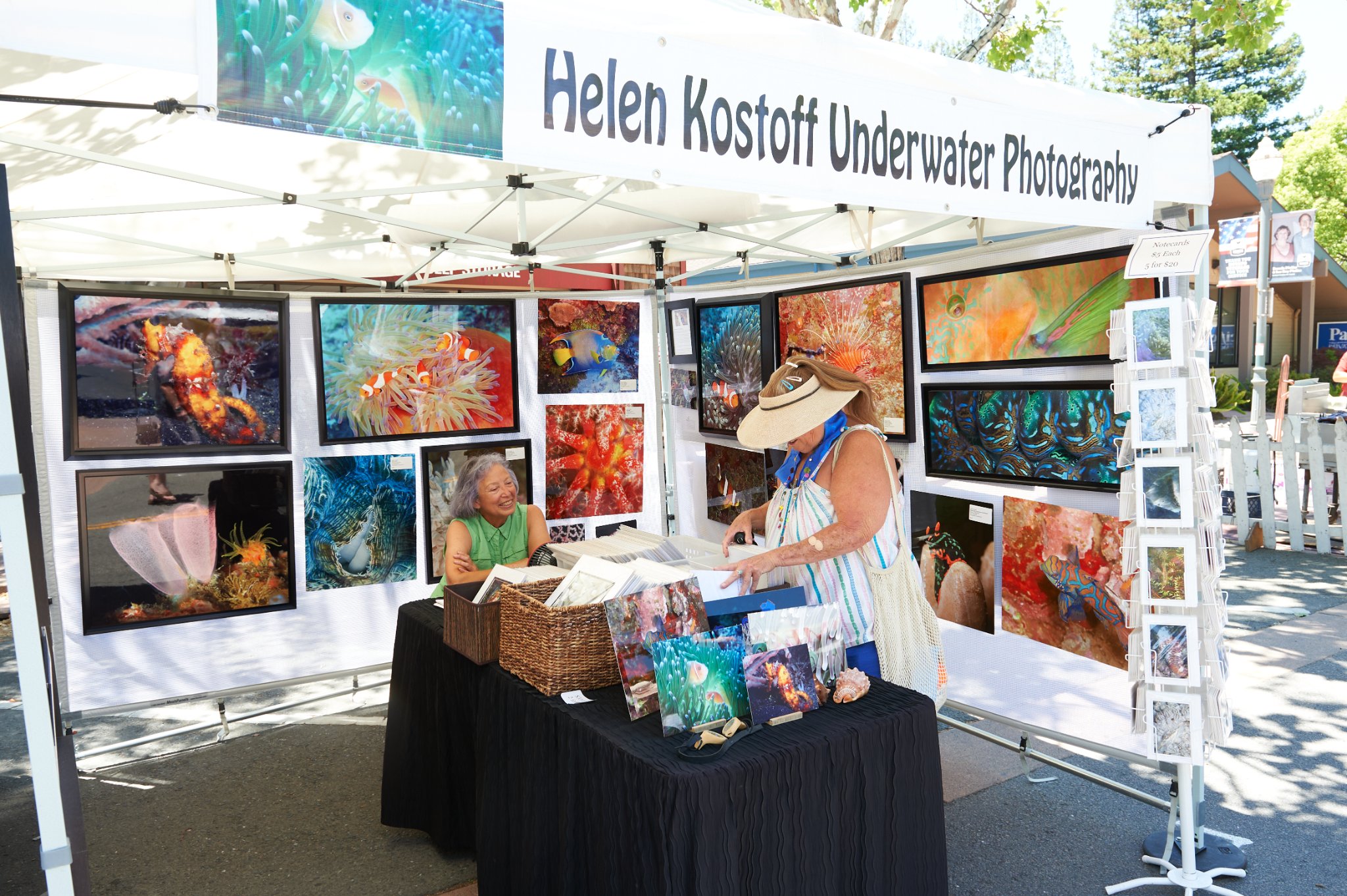 Novato Art, Wine & Music Festival 2023 Novato Chamber