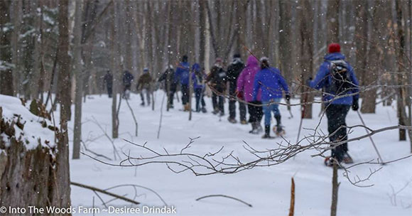 group of people snowshoeing in the woods