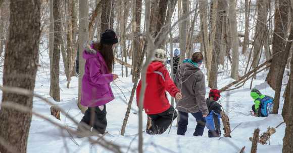 Group of people snowshoeing on snowy winter trail