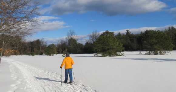 x-country skiier on field of show