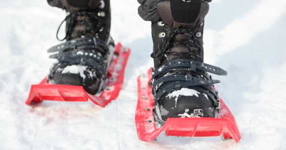 feet of snowshoer's feet walking on show