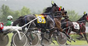 The Horses - Saratoga County Chamber of Commerce