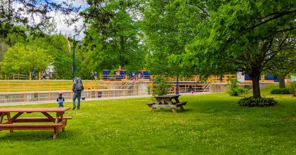 pcnic tables in the park