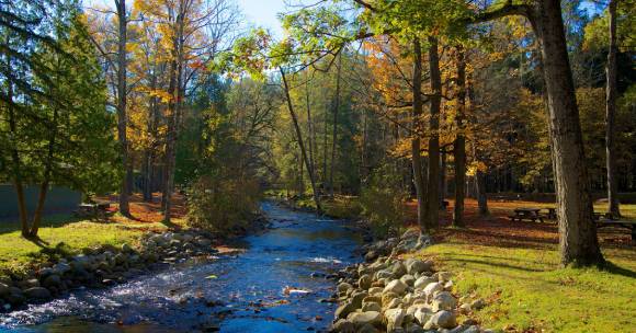 babbling river in park setting