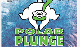 polar-plunge-280x165