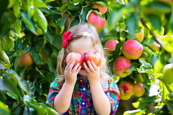 young girl picking apples