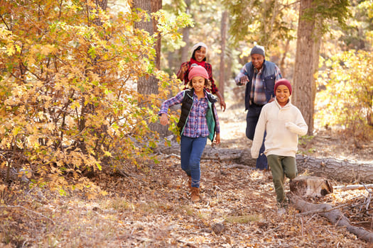 Family walking in woods