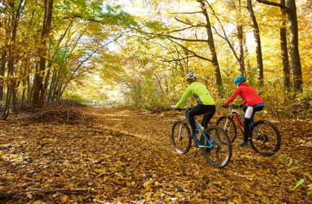 fall bikers