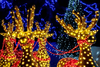 holiday lights display