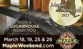 maple sugar info