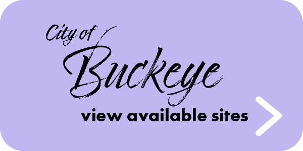 buckeye-button