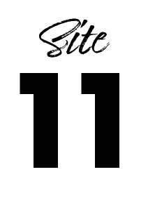 site11-icon