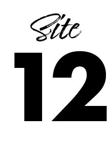 site12-icon