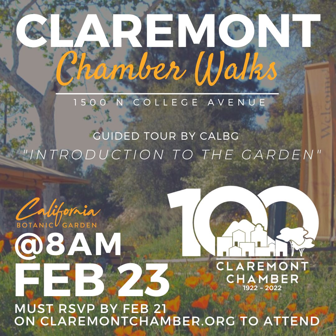 2023 Chamber Walks @ CalBG (Instagram Post (Square))