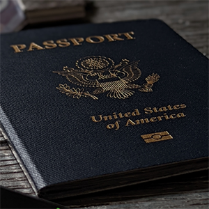 Passport chunky 300x300