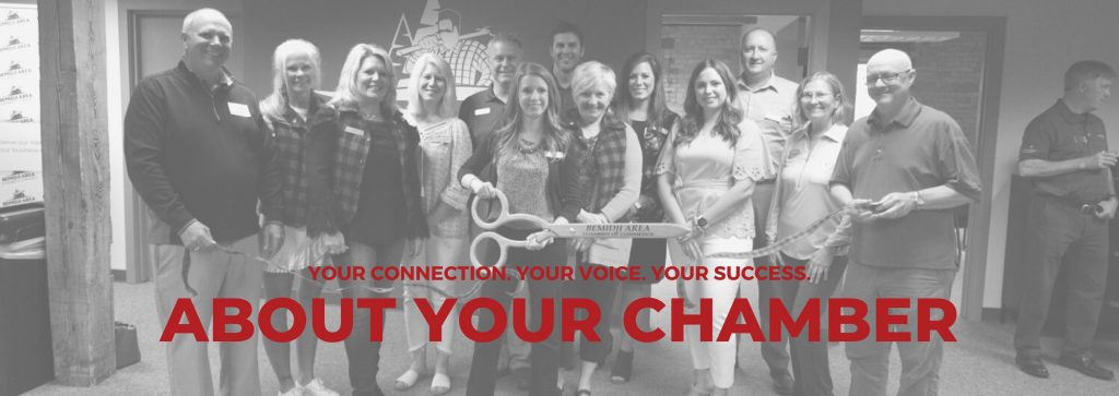 About Bemidji Area Chamber Of Commerce