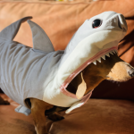 Costume - Pet