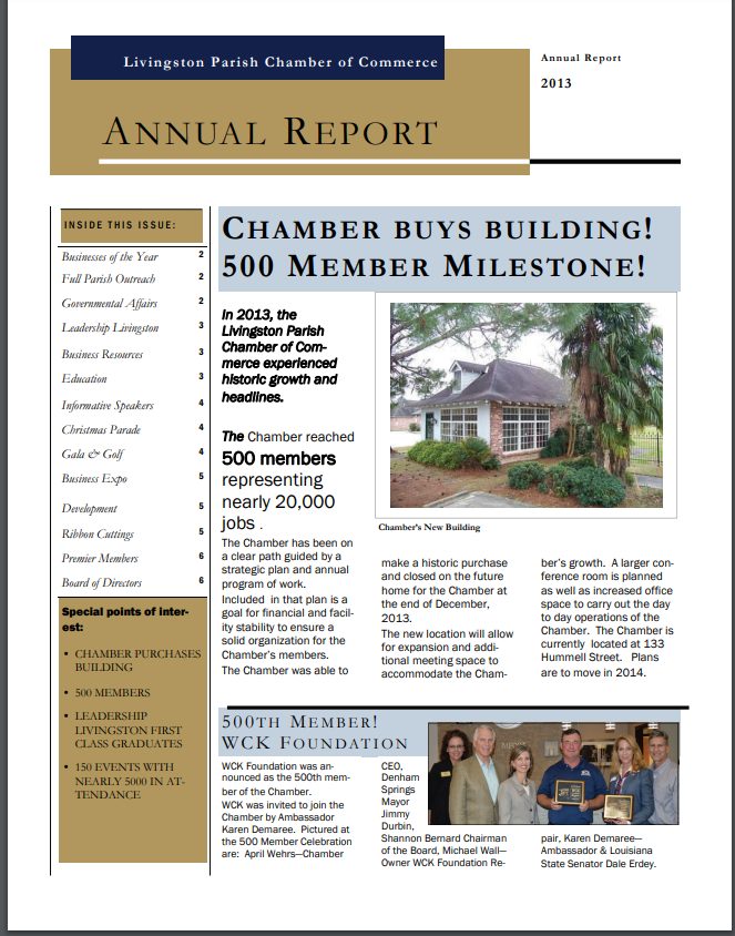 2013 Annual Report Image