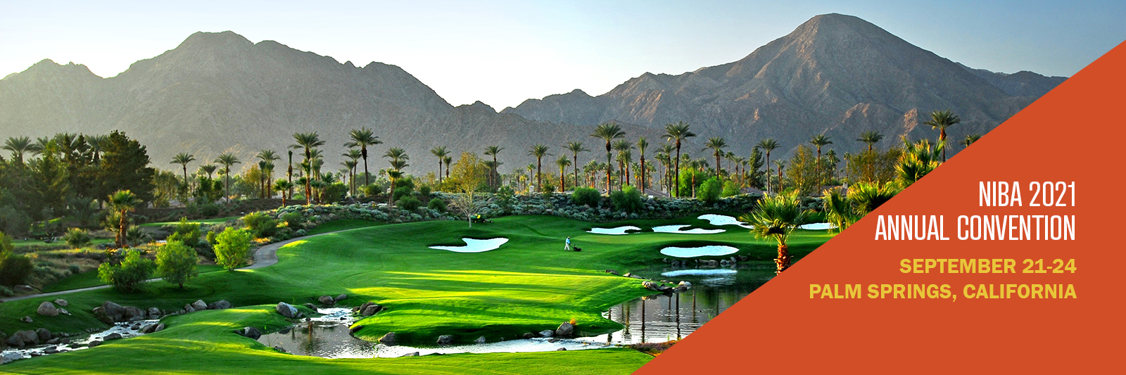 Palm Springs web banner Palm Springs web banner