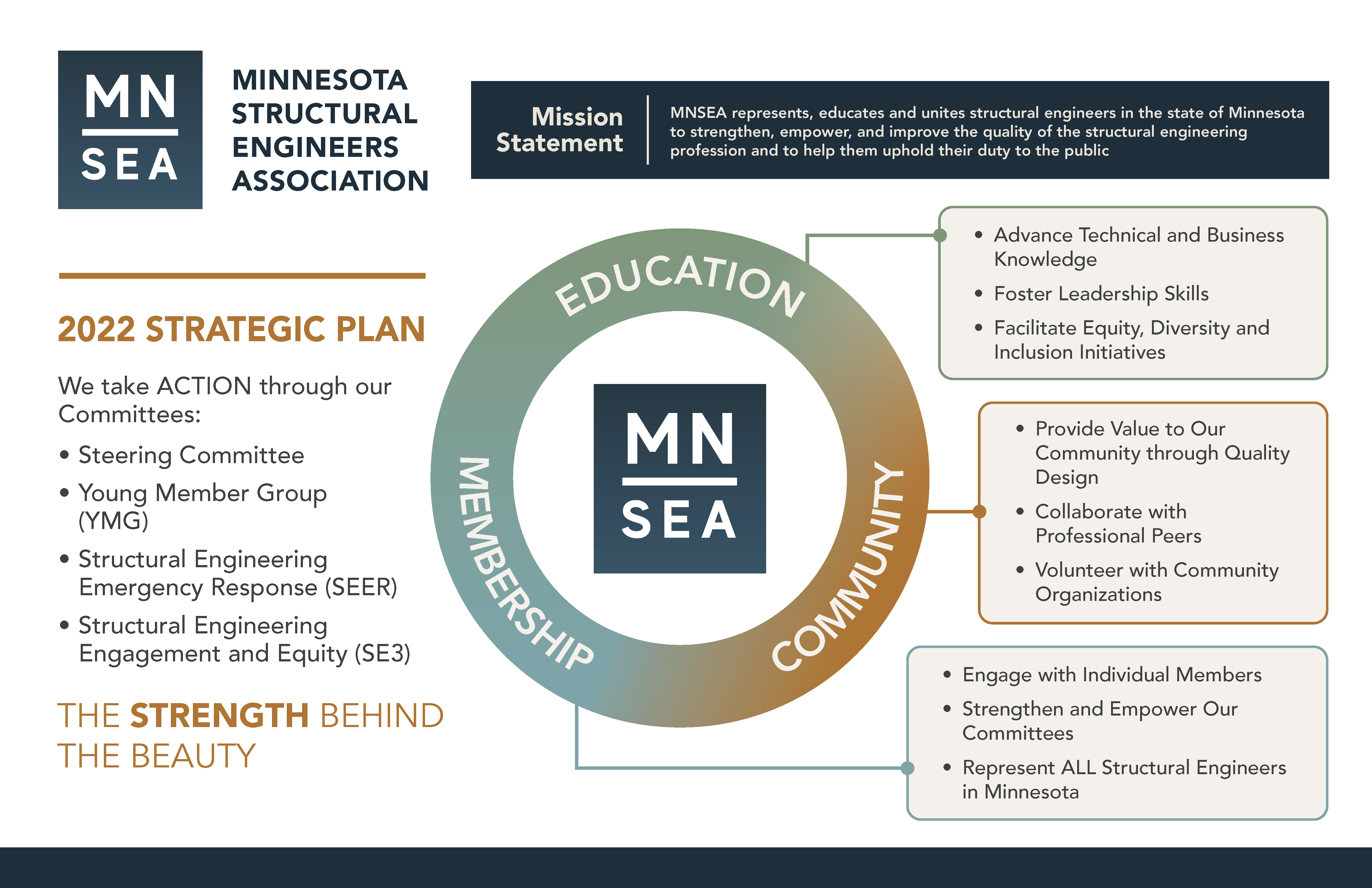 MNSEA Strategic Plan