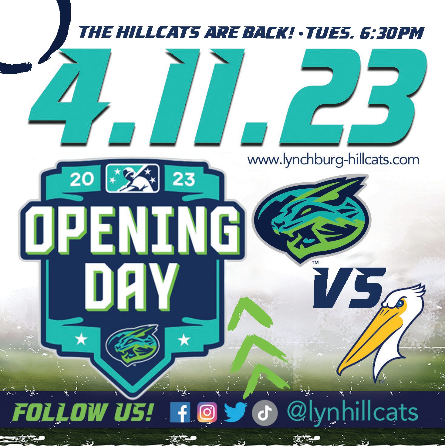 Member Monday Lynchburg Hillcats Lynchburg Regional Business Alliance