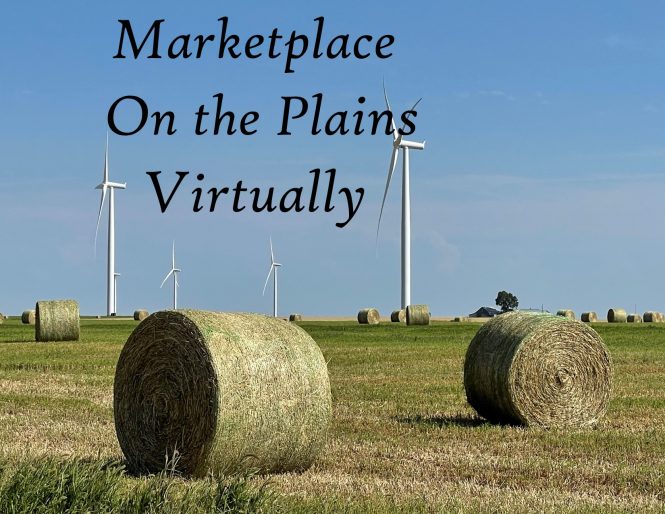 MK on Plains Virtually-- HEADING-only fall hay