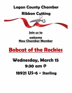 Bobcat of Rockies RC Flyer
