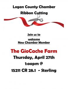 The GioCache Farm R C flyer