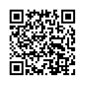 QR code to SYP campaign donation page