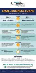 CARES-ACT-LOANS-Infographic-Social