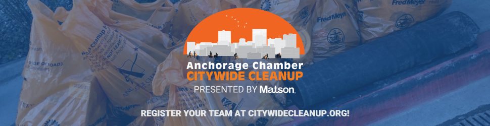 Citywide Cleanup for MIM slides (970 x 250 px)