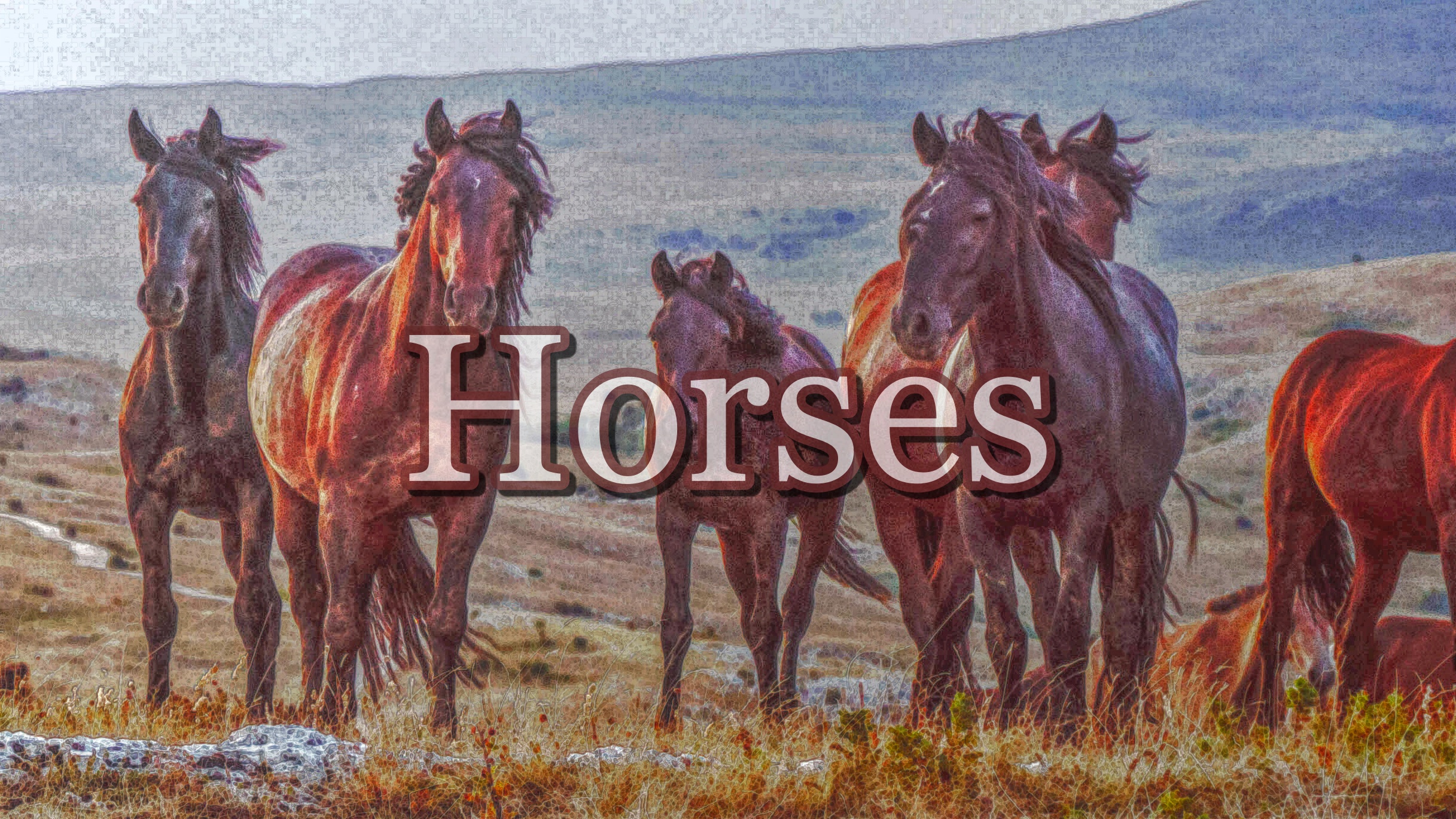 Horses