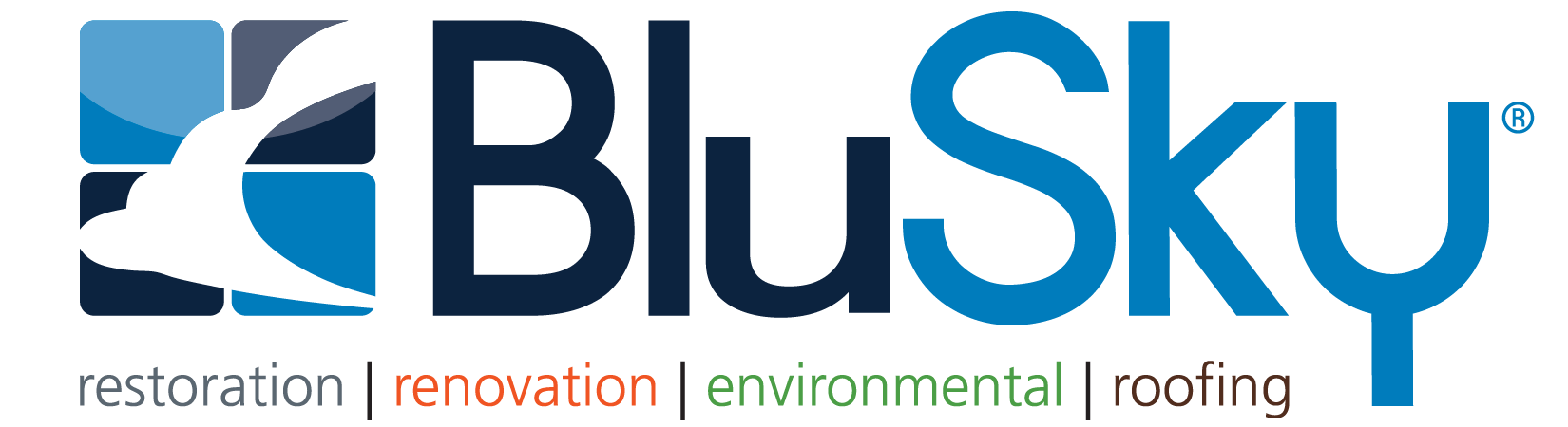 BluSky_logo_tags
