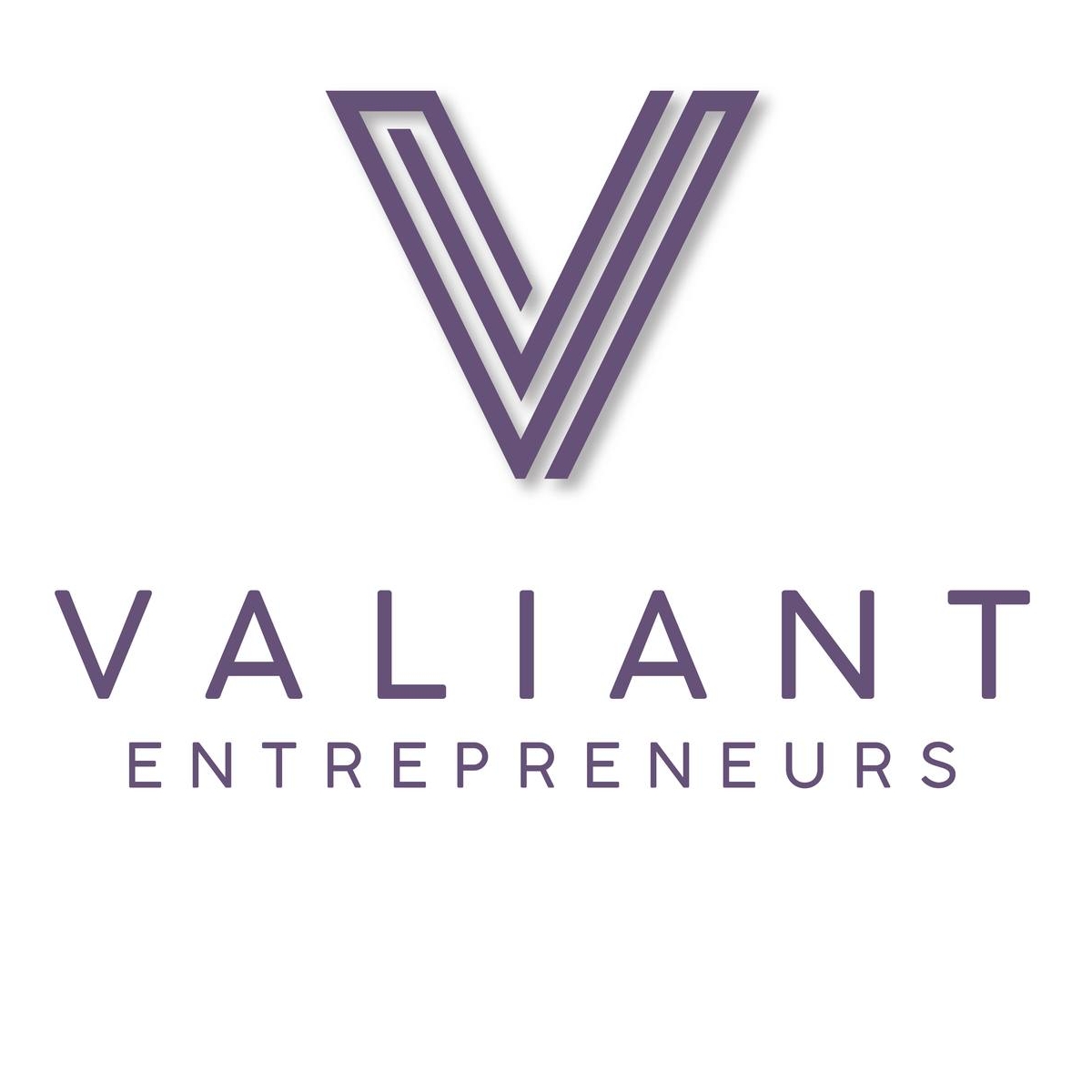Valiant Entrepreneurs