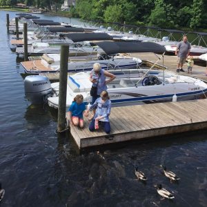 Bridgewater Marina Feed the Fish