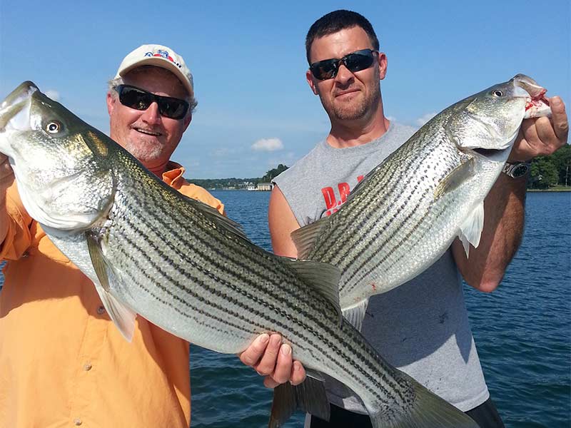 Courtesy of Kenny's Striper Guide Service