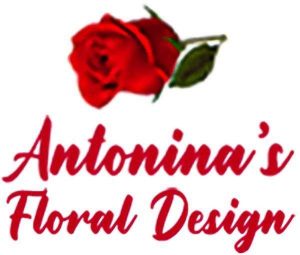 Antonina's floral design logo