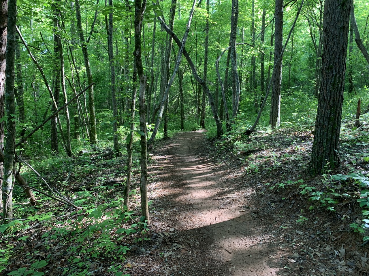 Jack Rabbit Trails in Hayesville, NC Cherokee County Chamber of Commerce
