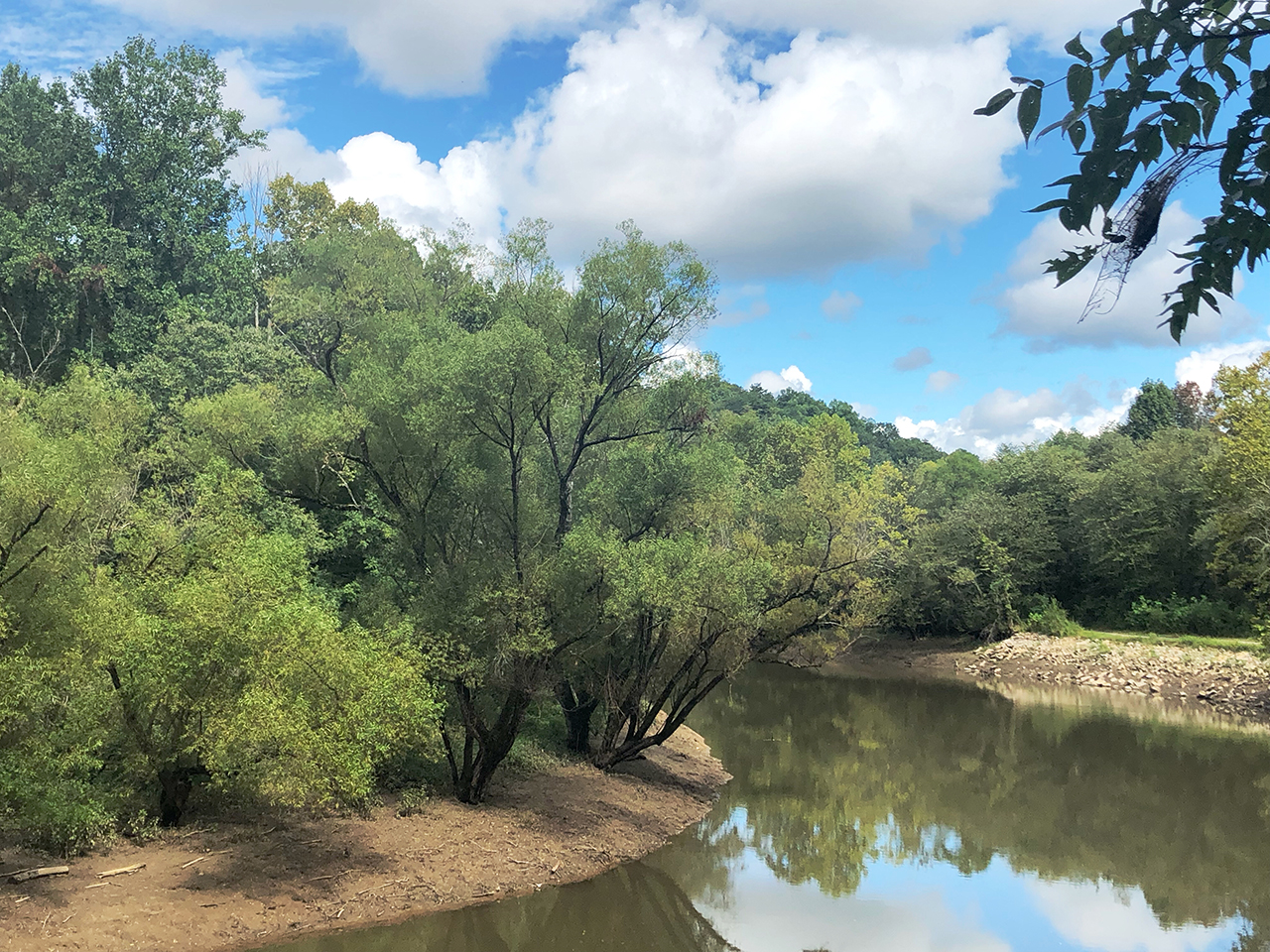 Murphy River Walk - Late September