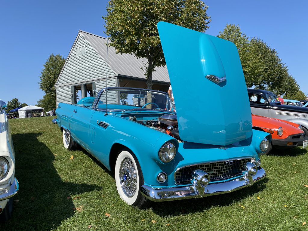 BLUE CAR (1)