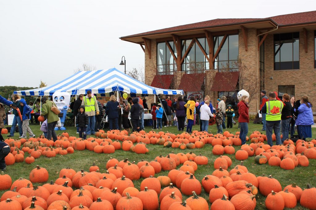 oak bank pumpkin